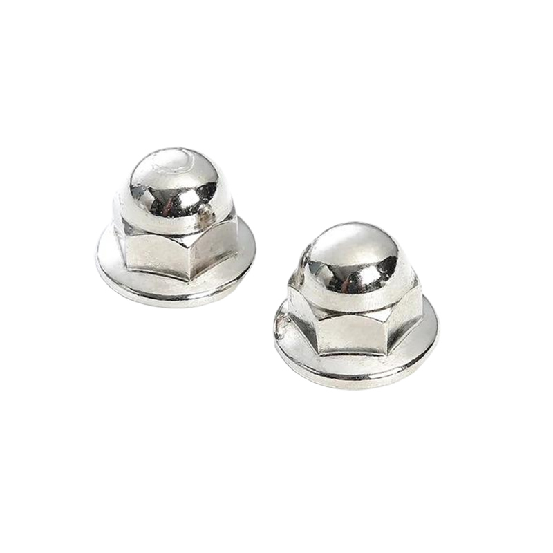 Tammetõru pähkli äärik